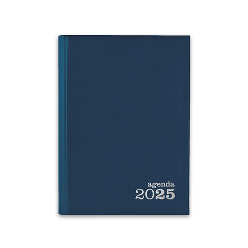 Agenda Diária 2025 Basic A5 Azul