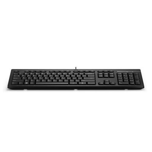 Teclado c/ fios HP 125 PT
