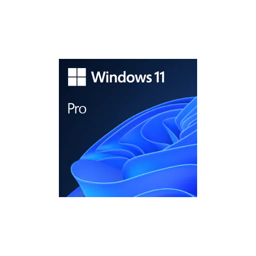 Windows 11 Professional | 64bits | PT | DVD